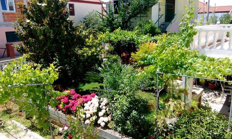Apartment Matovina ซาดาร์ ภายนอก รูปภาพ